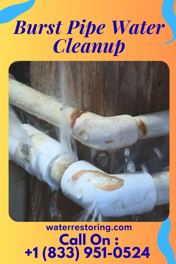 Burst Pipe Water Cleanup in Lena, WI