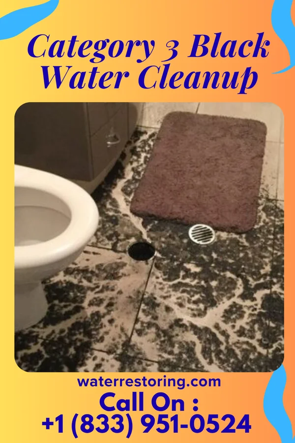 Category 3 Black Water Cleanup in Lena, WI