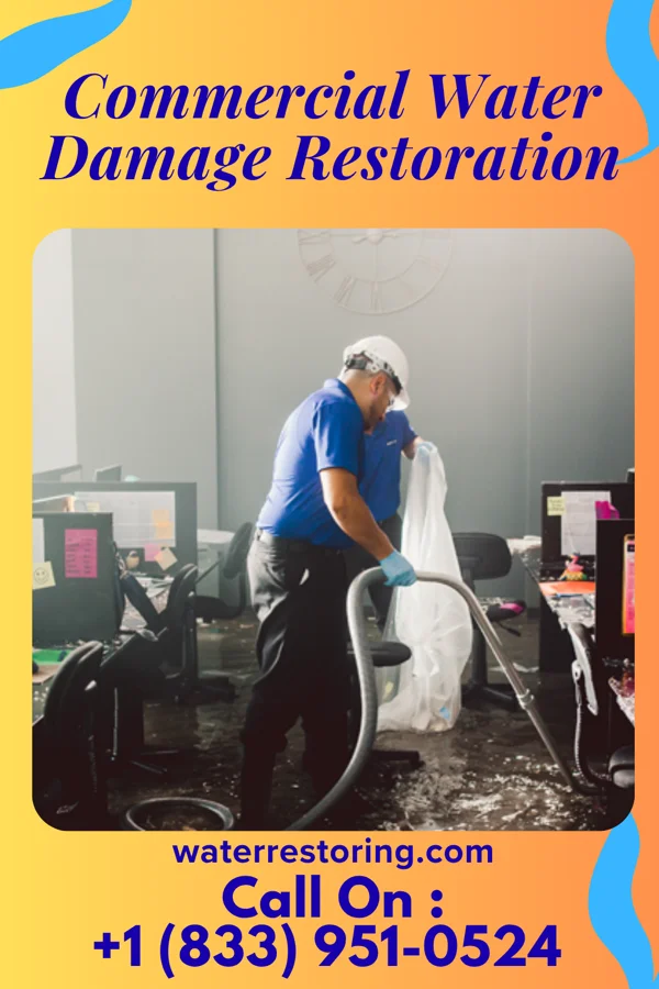 Commercial Water Damage Restoration in Lena, WI