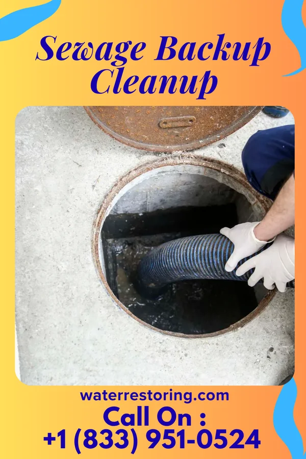 Sewage Backup Cleanup in Lena, WI